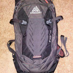 Gregory Amasa 14l Backpack